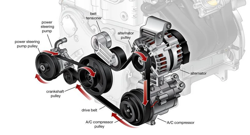 Corolla Hydraulic Steering Belt